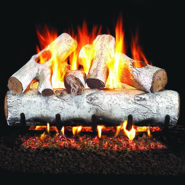 Peterson Real Fyre 24-Inch White Birch Outdoor Gas Log Set With Vented Natural Gas Stainless G45 Burner - Match Light