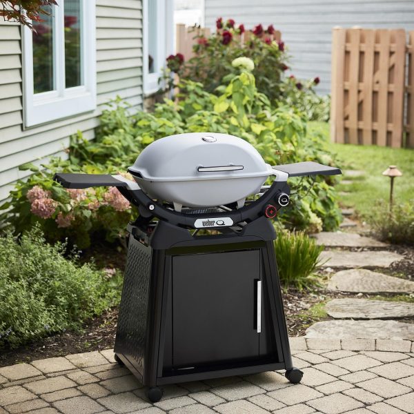 Weber Q2800N+ Propane Gas Grill - Smoke Grey - 1500392