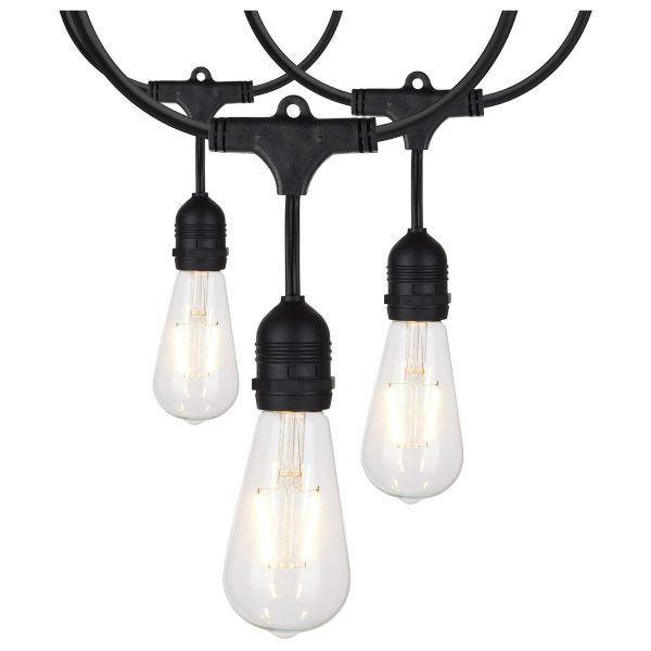 Satco 24 Foot LED String Light; 12 Vintage ST19 bulbs Included; 120 Volts - S8036