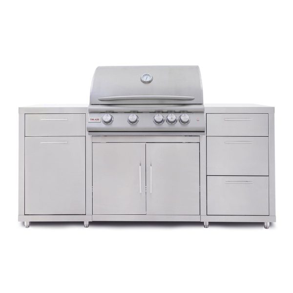 Blaze LTE+ 32-in Natural Gas Grill Center - BLZ-SS-ISLAND-4LTE3-NG